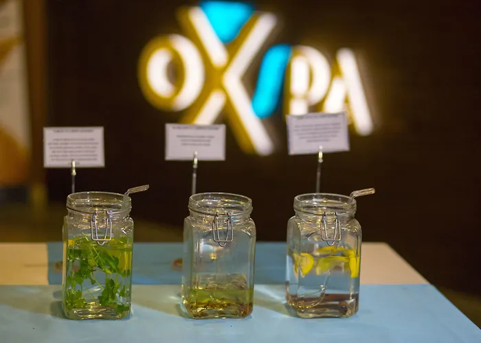 Szálloda Sky Business