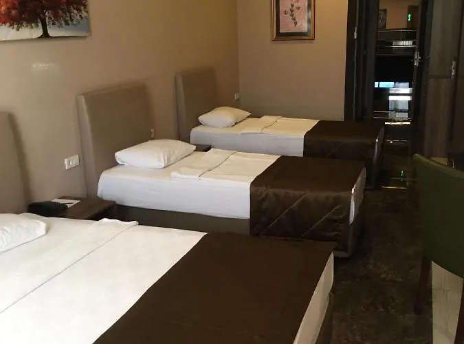 Otel Active Başaran Business 5*